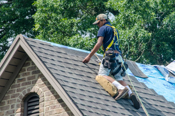 Best Storm Damage Roof Repair  in Parsons, WV